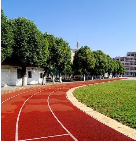 ���ʽ���z�ܵ�