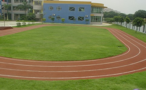 �A(y��)��ʽ���z�ܵ��a(ch��n)Ʒ����