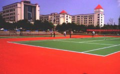 ��ϩ�����